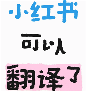小红书翻译功能在哪里 小红书翻译功能怎么开启 小红书翻译功能在哪里 小红书翻译功能怎么开启