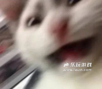 《招魂棺》:我是警察我有枪,但我快死了也会按步骤乖乖解谜丨乐玩独家测评宣传图1