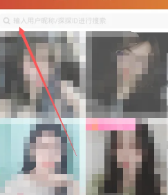 探探可以通过手机号找人吗 探探可以搜索别人昵称找人吗