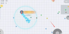 贪吃蛇大作战怎么获得皮肤 贪吃蛇大作战怎么换皮肤出场