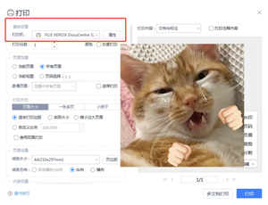 WPSOffice无法启动打印作业是什么原因 WPSOffice无法启动打印作业怎么解决 WPSOffice无法启动打印作业是什么原因 WPSOffice无法启动打印作业怎么解决