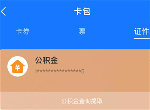 支付宝怎么查公积金账户余额 支付宝怎么查公积金缴费记录明细