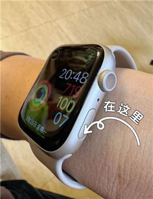 苹果手表怎么查序列号是不是正品 苹果手表怎么查激活时间 苹果手表怎么查序列号是不是正品 苹果手表怎么查激活时间