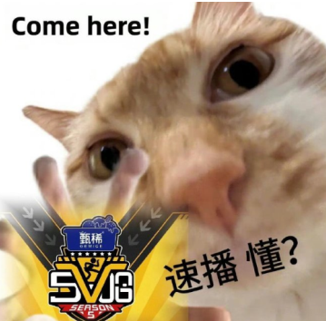 五哈5什么时开播 五哈5在哪个平台播放