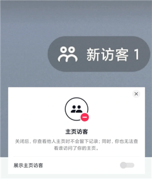 抖音访客一开一关有记录吗 抖音访客显示1点开却没有怎么回事 抖音访客一开一关有记录吗 抖音访客显示1点开却没有怎么回事