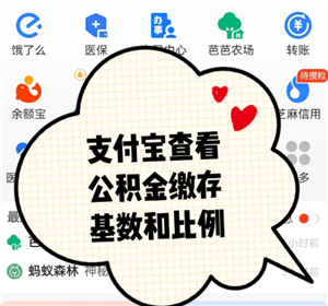 支付宝公积金缴费记录查询在哪查 支付宝公积金缴费记录查询查不到怎么办 支付宝公积金缴费记录查询在哪查 支付宝公积金缴费记录查询查不到怎么办