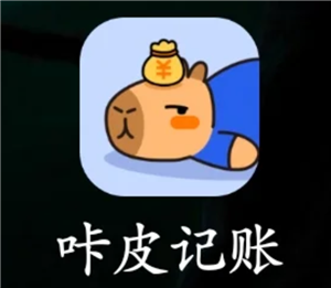 咔皮记账怎么自动记账 咔皮记账自动记账安全吗